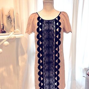 🖤ANTHROPOLOGIE 🖤100% SILK 🖤 FROCK!  BY TERRY REESE Slip Dress Size Medium